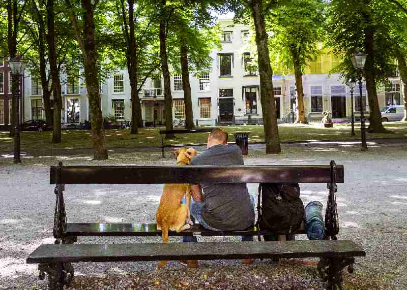 ‘Problematiek van dakloosheid in Den Haag wordt ernstig onderschat’