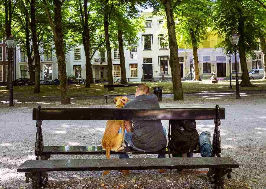 Factsheet: Routes naar dakloosheid van Midden- en Oost-Europese arbeidsmigranten in Nederland